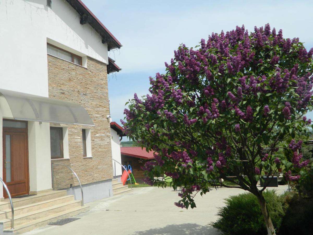 Mirana-Marginimea Sibiului Hotel Cristian  Exterior photo